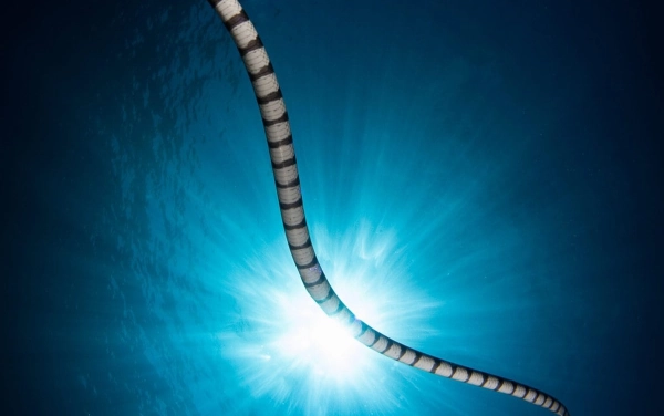 Potápění Filipíny - Tubataha reef