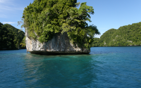 Potápění Palau + Filipíny